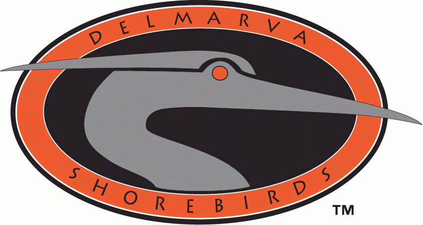 Delmarva Shorebirds 1996-2009 Primary Logo decal supplier